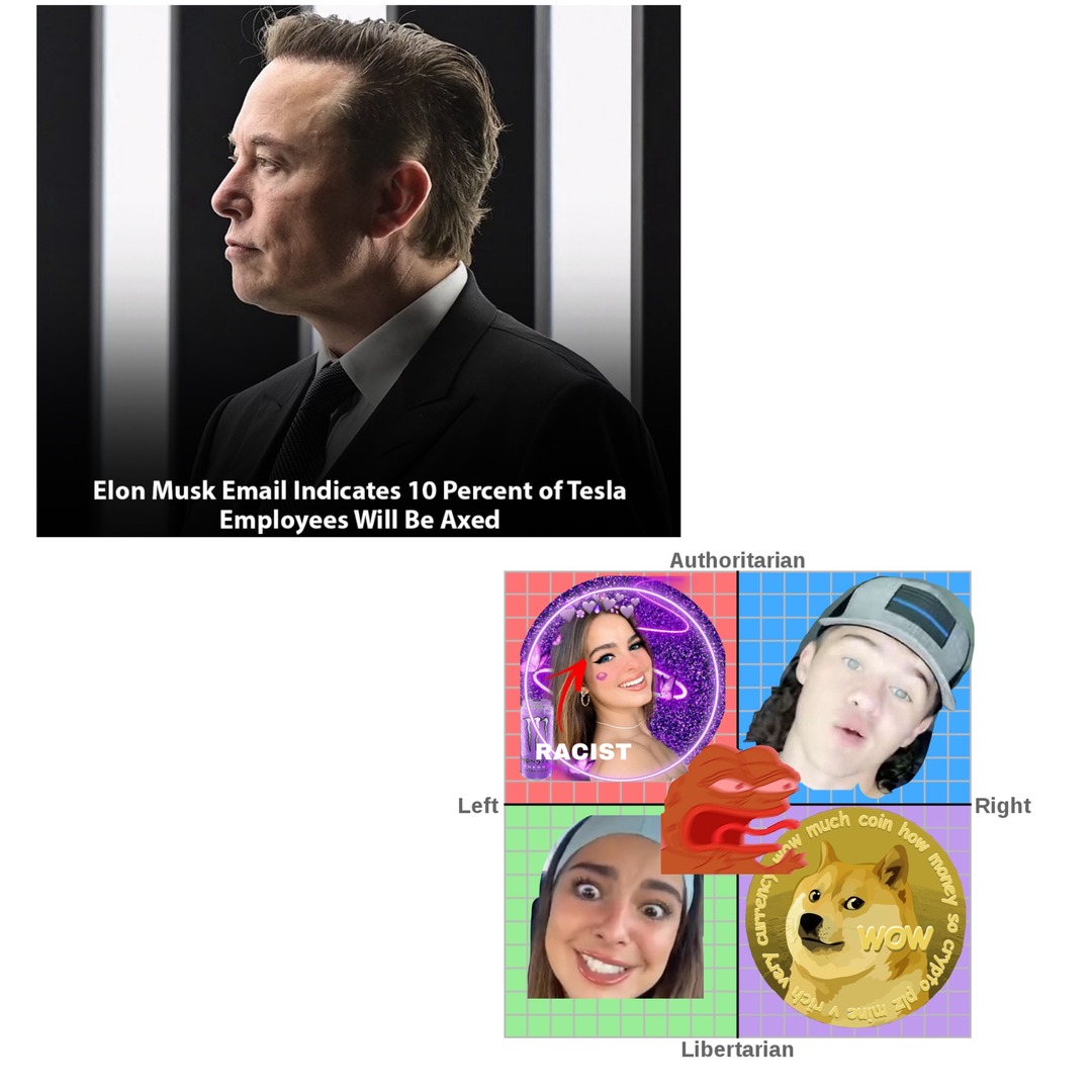 Literally everyone except libright: "MUSK BAD!" - meme