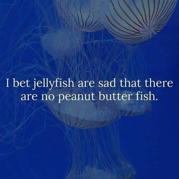 And the cat fish are sad there aren't any dog fish - meme