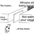 Illusion of free choice