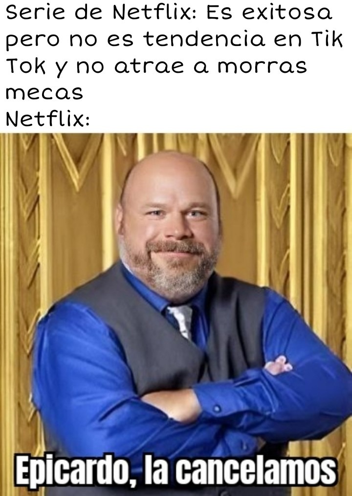 Pinche Netflix pendejo - meme