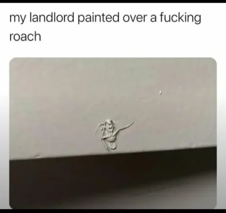 landlord painted over a fucking roach - meme
