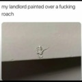 landlord painted over a fucking roach