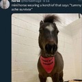 commented item thumbnail