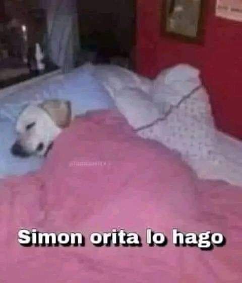 Xq - meme