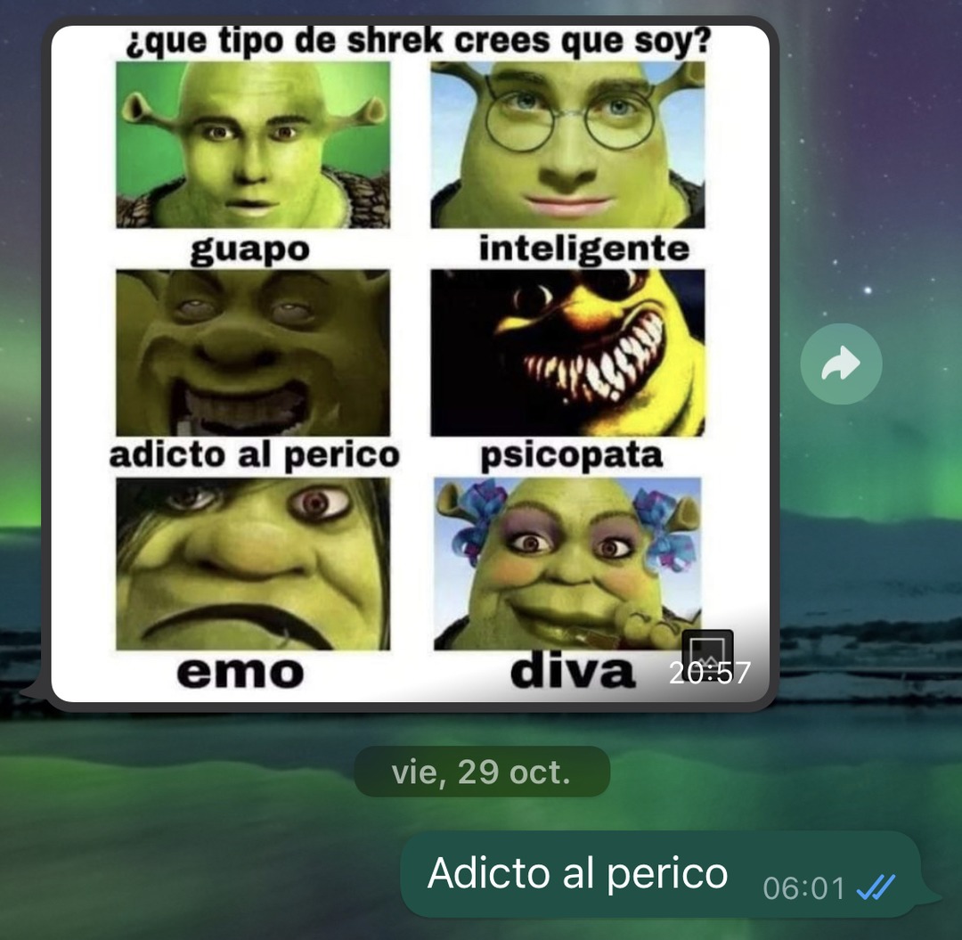 QUAL SHREK VOCÊ E? 24 ES lindo inteligente doidinho psicopata emo diva -  iFunny Brazil