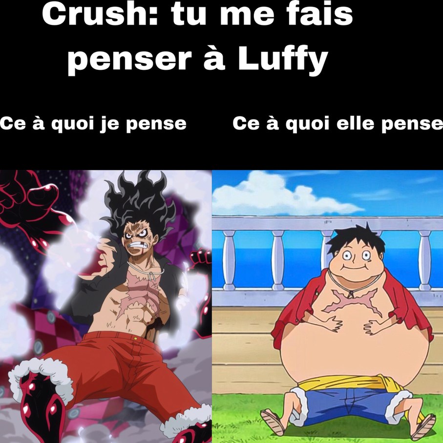 Vous validez l’arc Wano? - meme