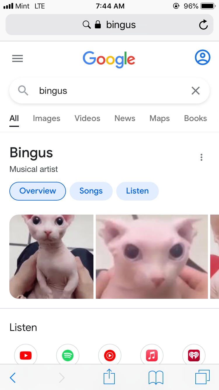 I like bingus - meme
