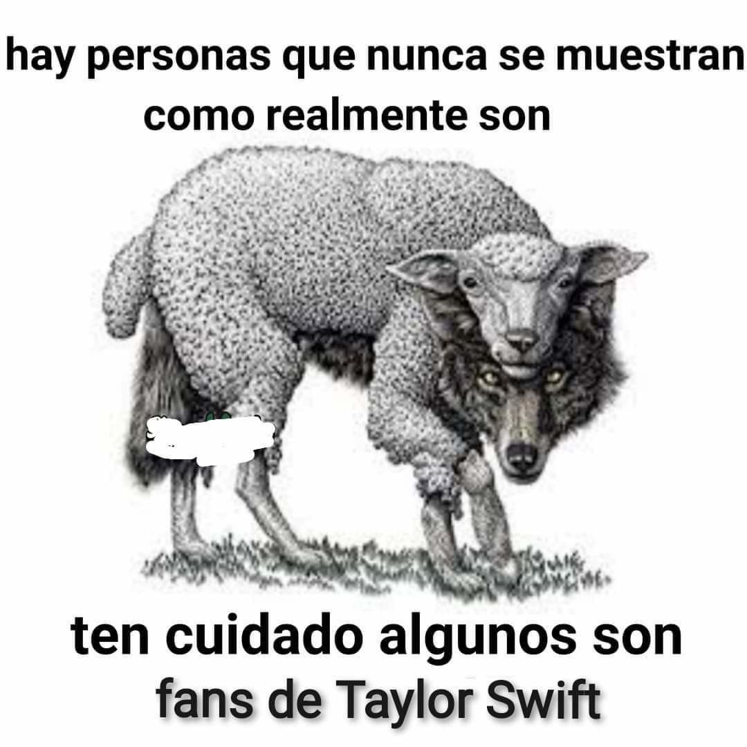 Taylor - meme