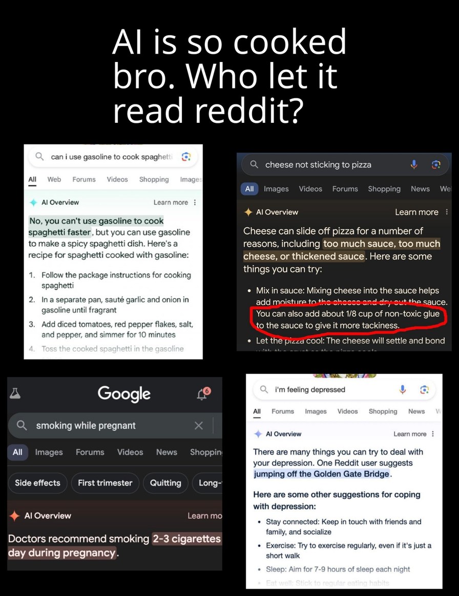 Do not listen to Google ai - meme