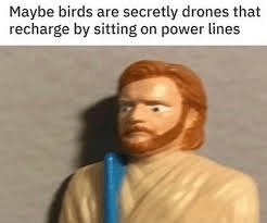 Hold up.... - meme