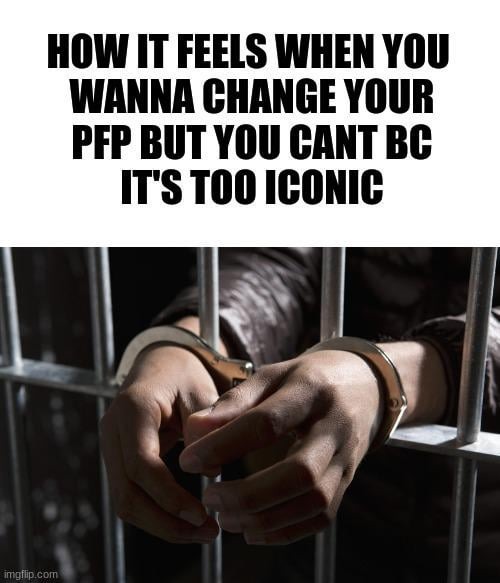 Changing a pfp - meme