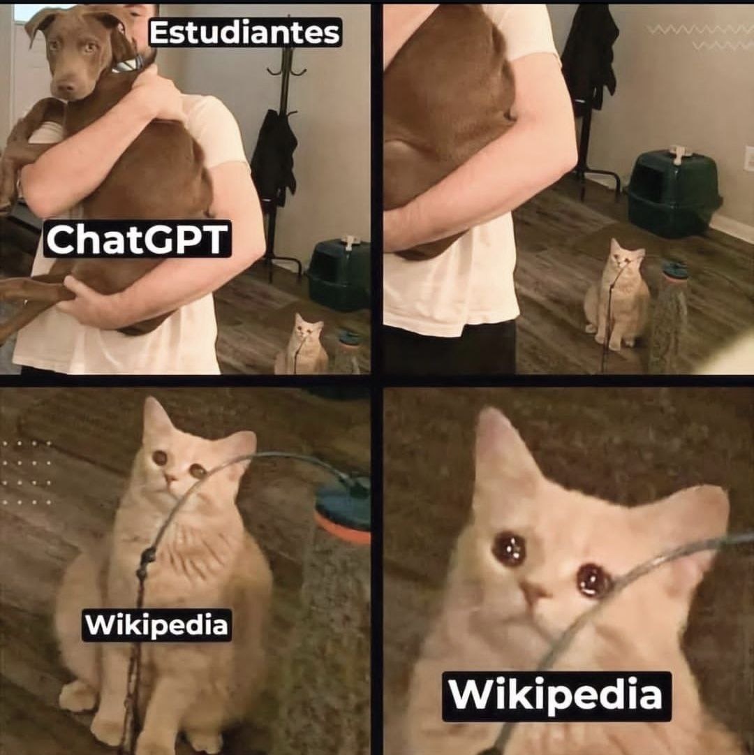Sorry lil buddy - meme