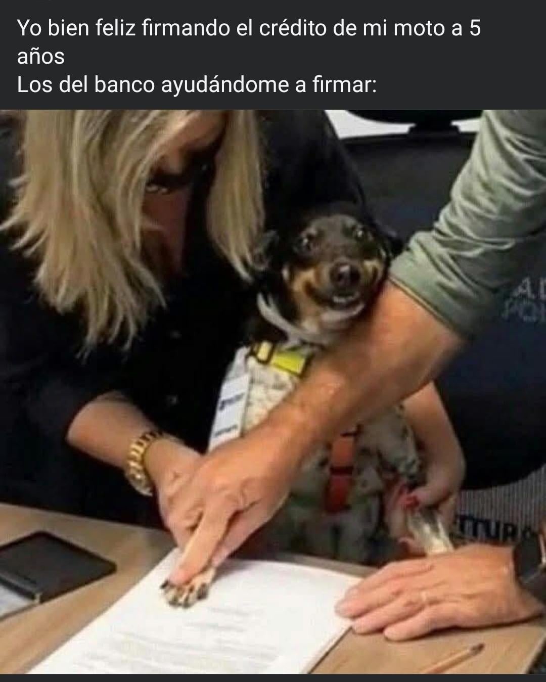 moto de 50 - meme