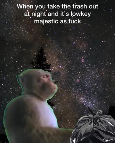 majestic nights - meme