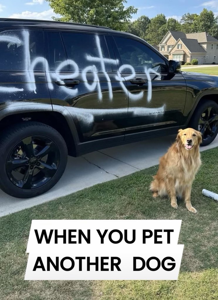 WHEN YOU PET ANOTHER DOG and your dog finds out - meme