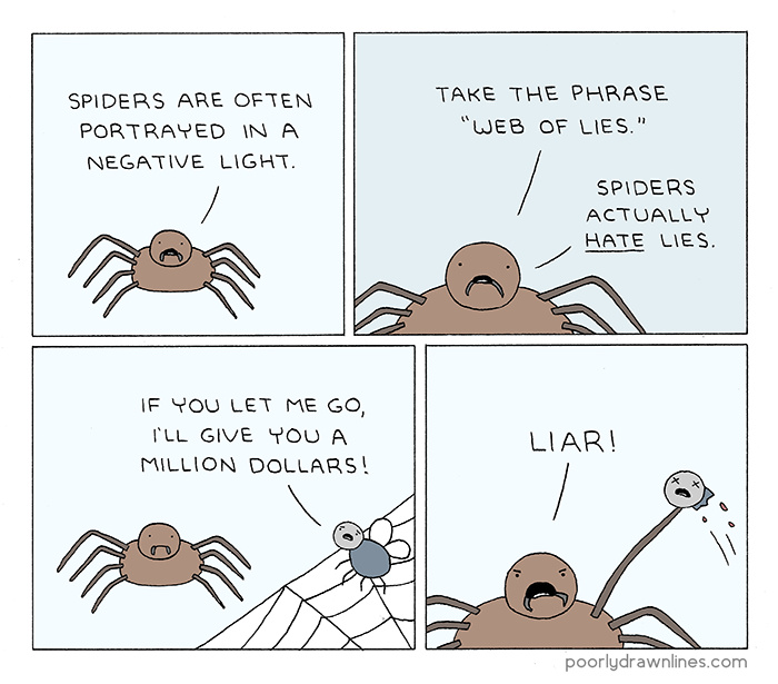 Don't mess with spiders - meme