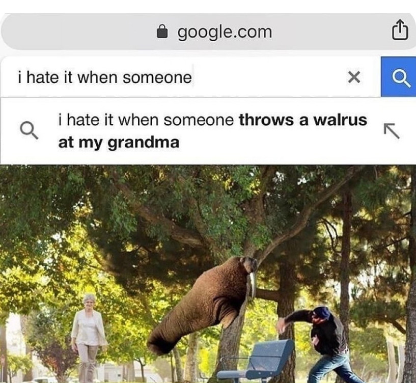 I hate it when someone throws a walrus at my grandma. Gets on my freaking nerves ya know. - meme