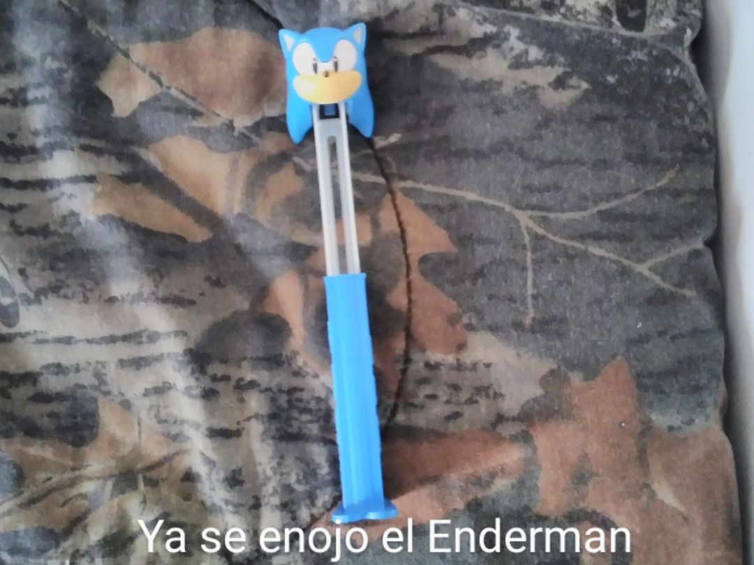 Sonic Enderman - meme