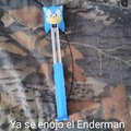 Sonic Enderman