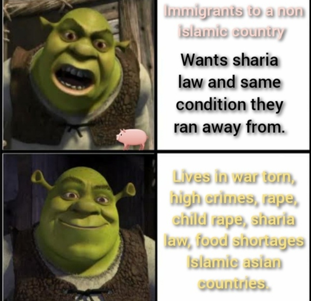 Average islamic 'refugee' - meme