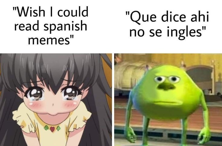 I'm from the left - meme
