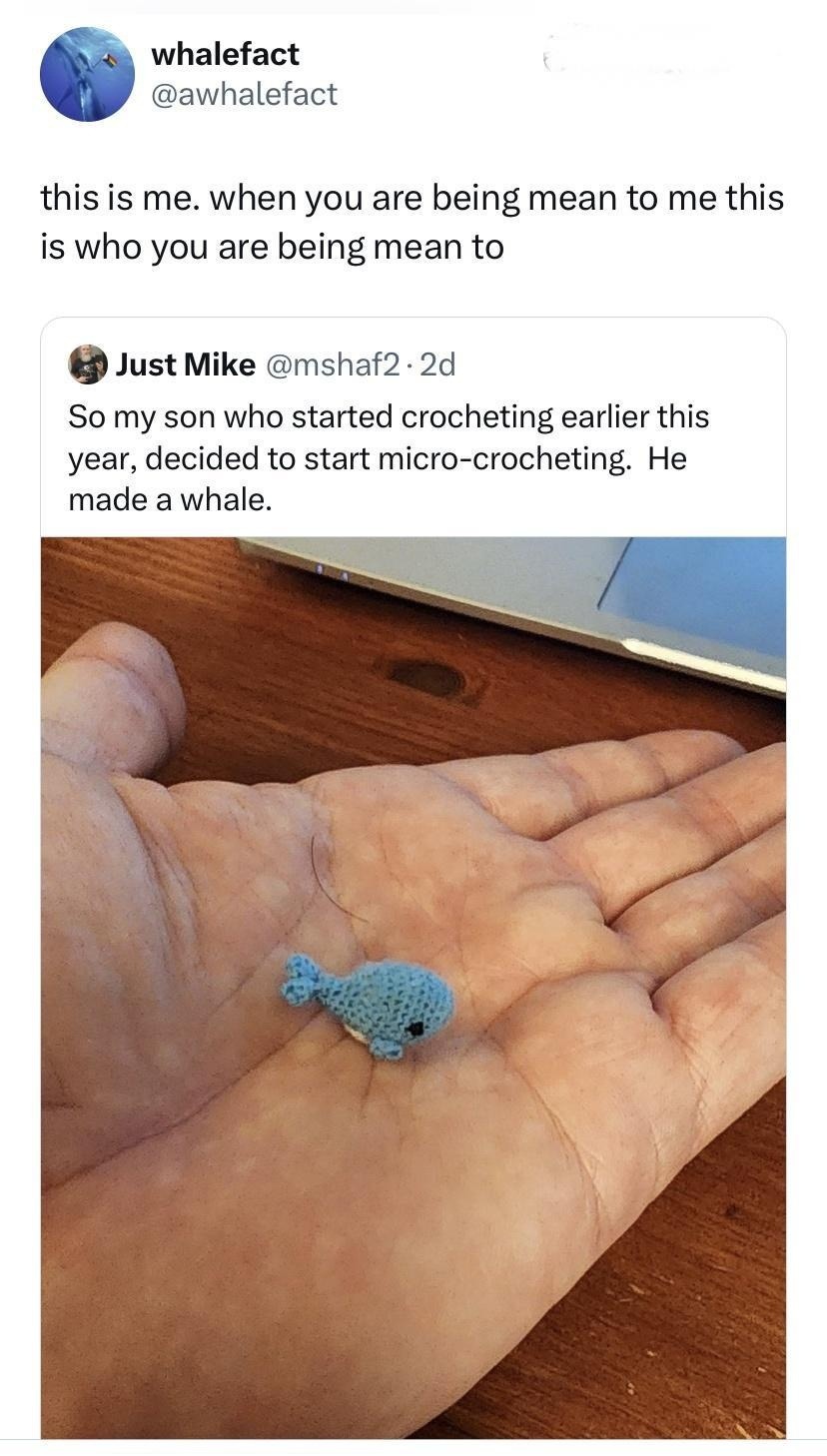 he crocheted a micro whale and now I cry - meme