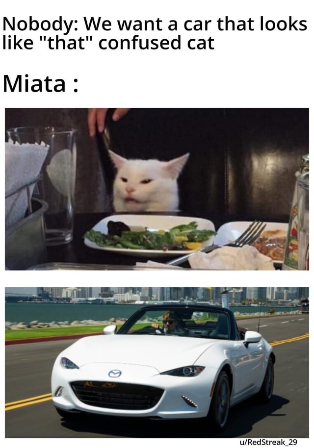 Miata got that confused cat aesthetic - meme