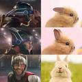 see Thor was once a rabbit