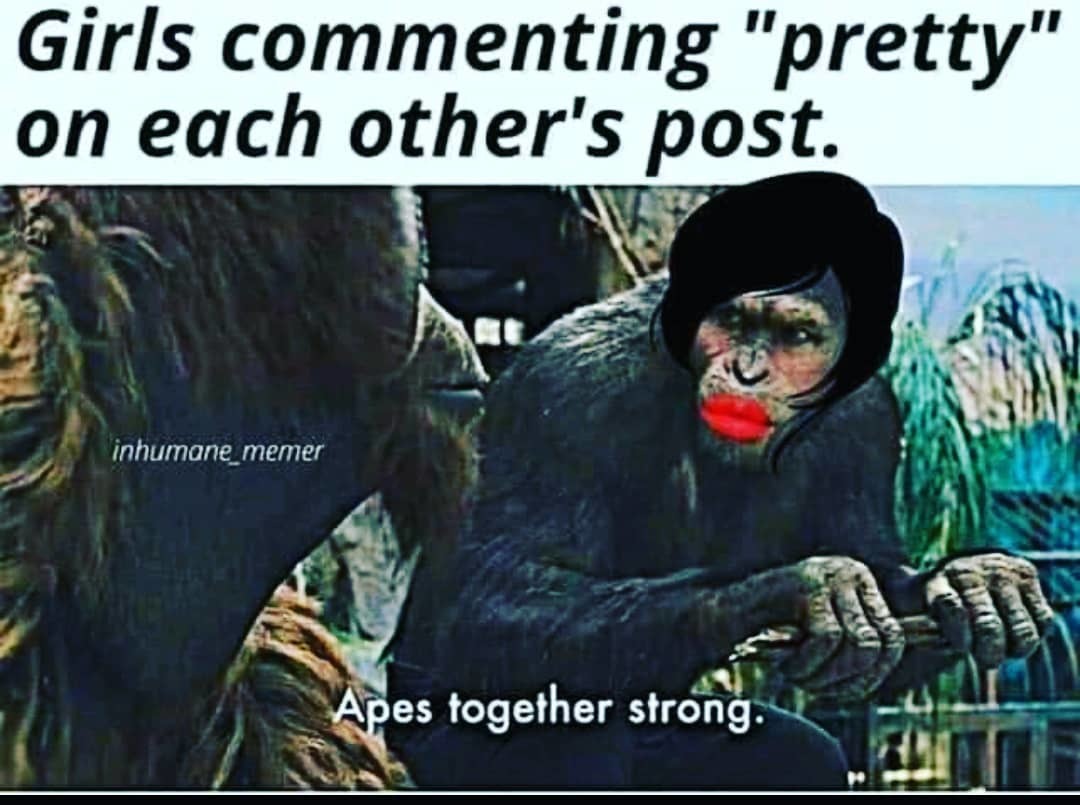 Monkey Memes: Monkey Memes, Jokes, and Pictures by Alexander