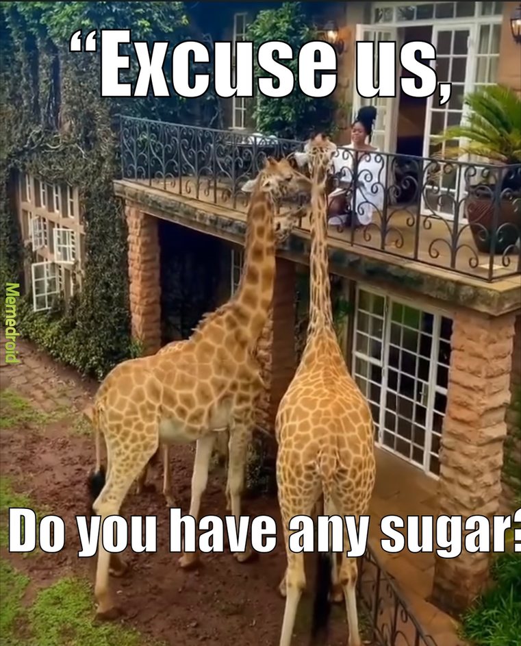 giraffe neighbors be like - meme