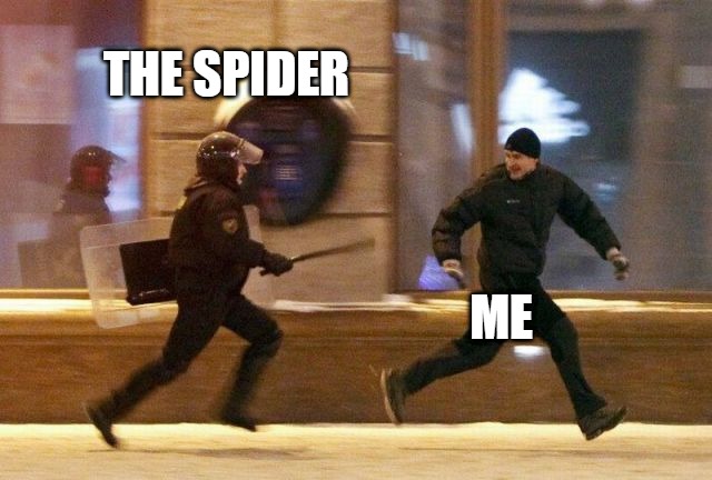 When I see a spider hiding in my room - meme