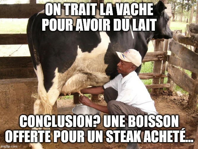 Seul les gens de la campagne comprennent - meme