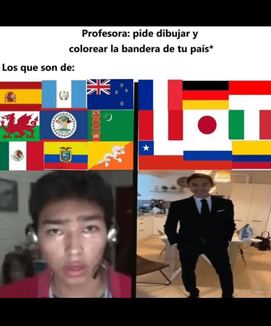 dibuja y colorea la bandera de tu pais - meme