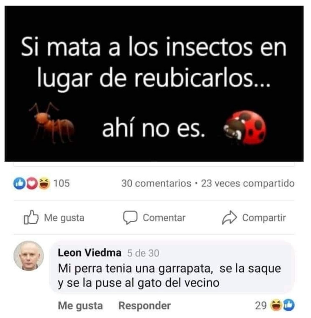 si matas insectos en lugar de reubicarlos, ahí no es bro - meme