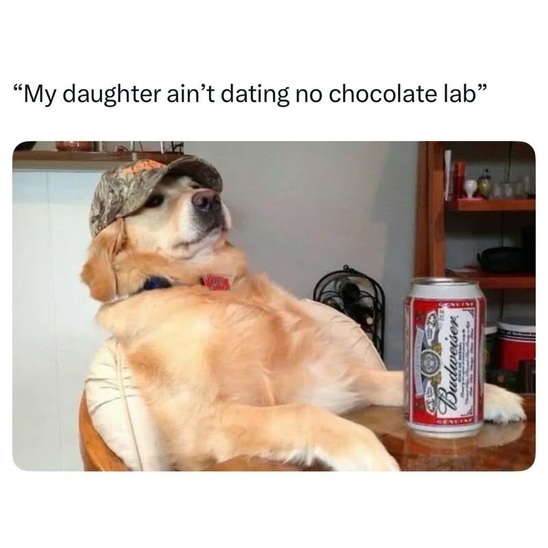 Dogs are racist - meme