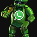 Freddy WhatsApp