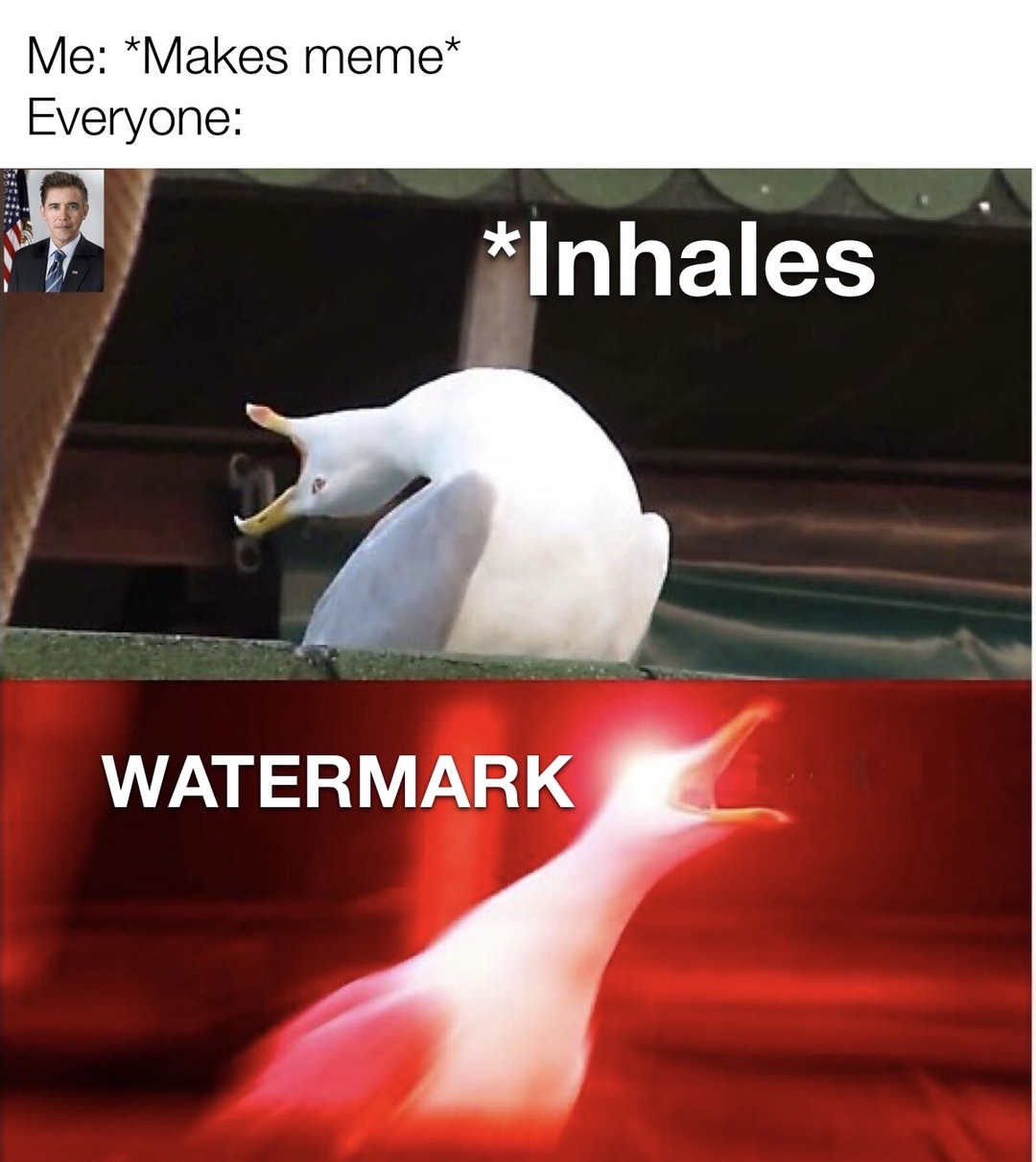 watermark - meme