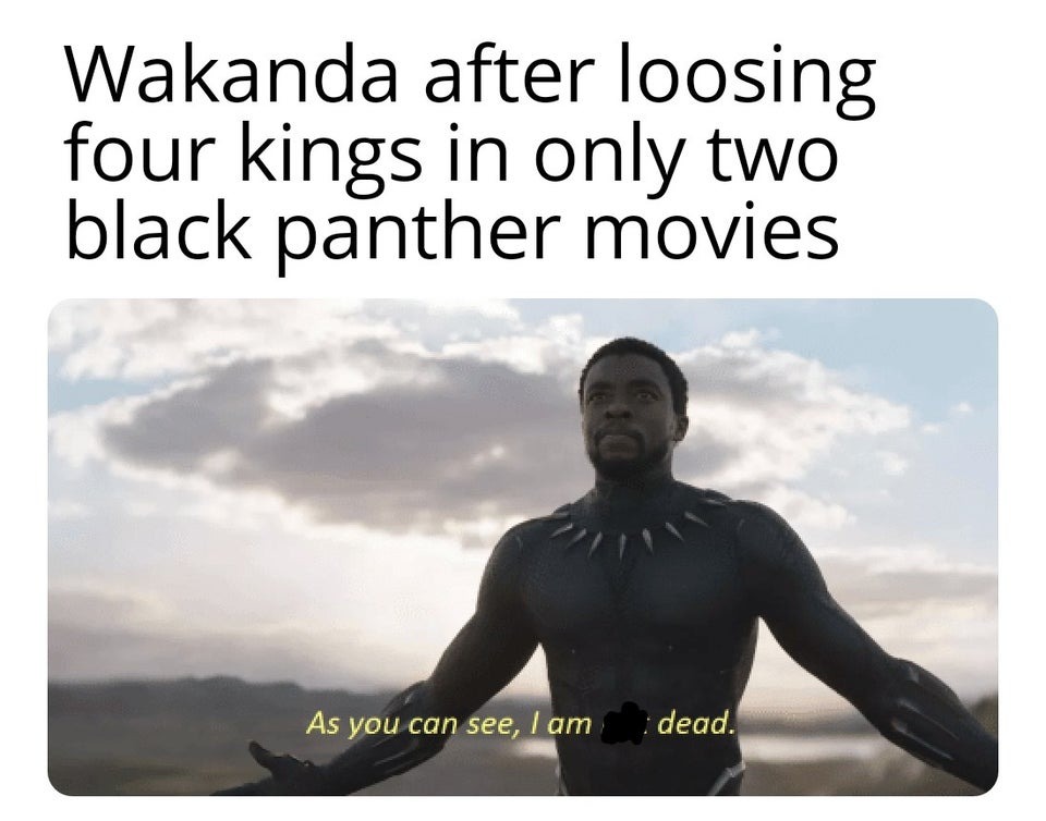 Wakanda Forever was not bad, but for me it wasn't as good as people may think - meme