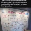 Kyoto Penguins