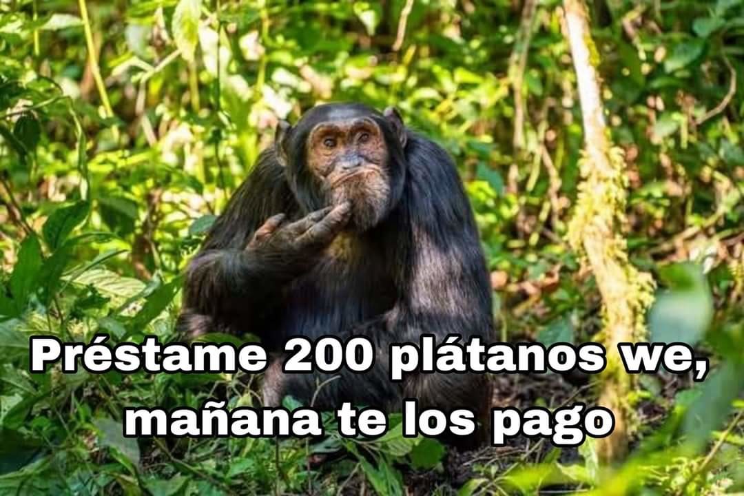 Por favor wey - meme