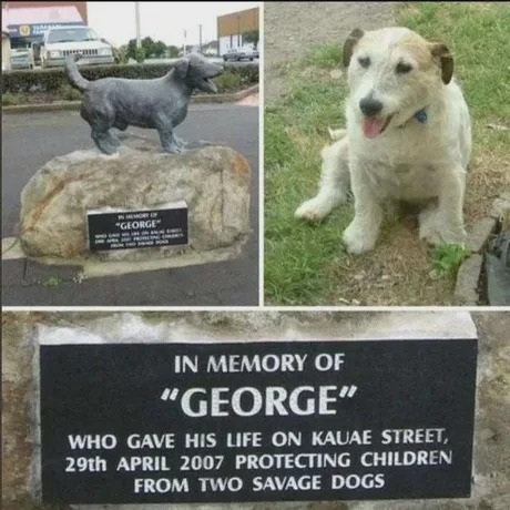 In memory of George - meme