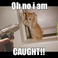 commented item thumbnail