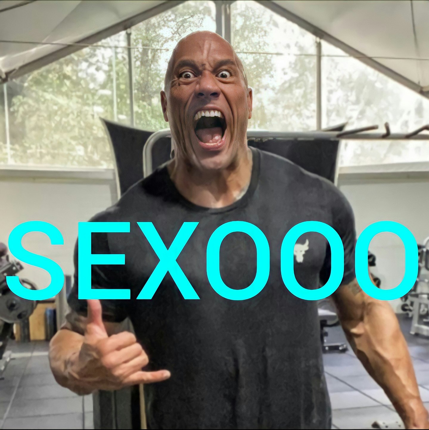 sexooo - meme