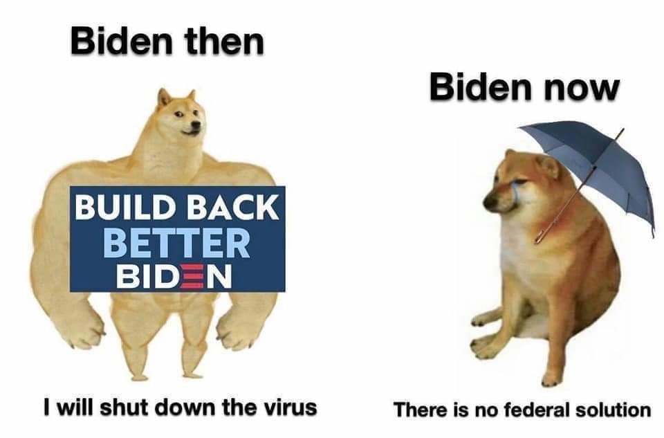 There never was a federal solution - meme