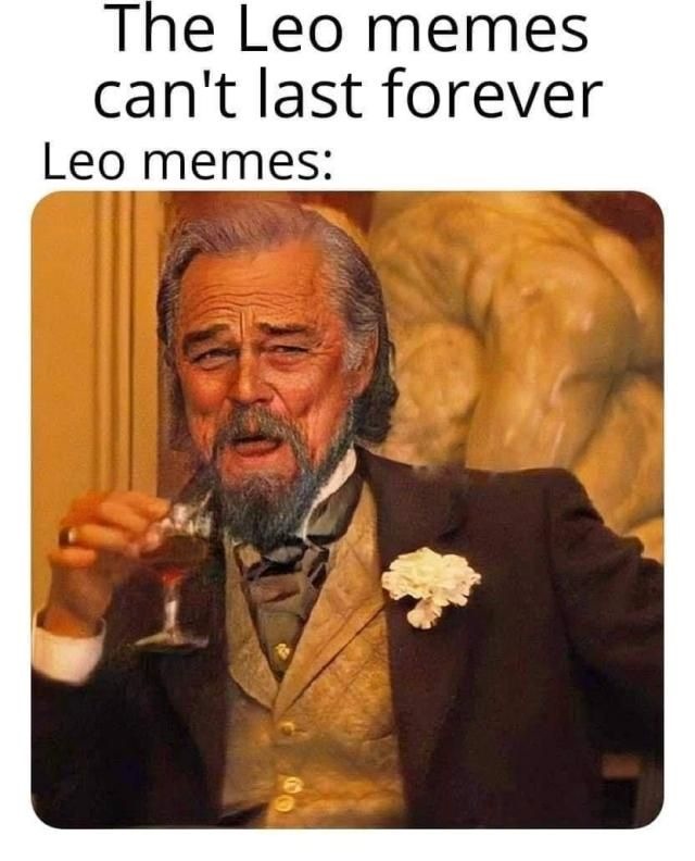 Leo Memes