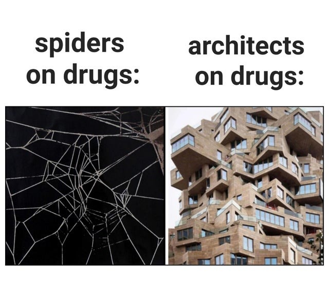 Drugs affect the same spiders and architects - meme