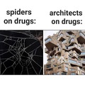 Drugs affect the same spiders and architects