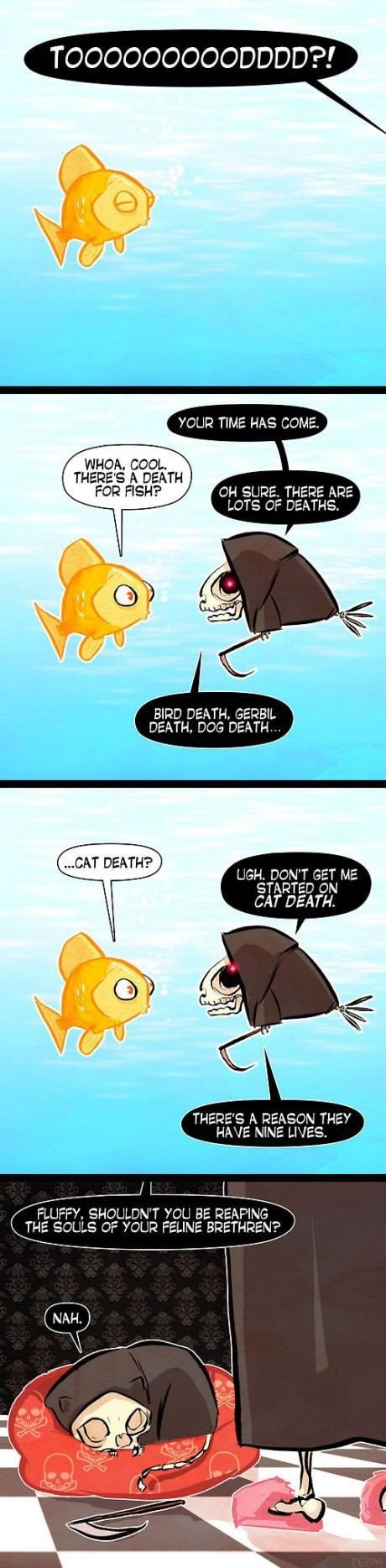 Cat Death - meme