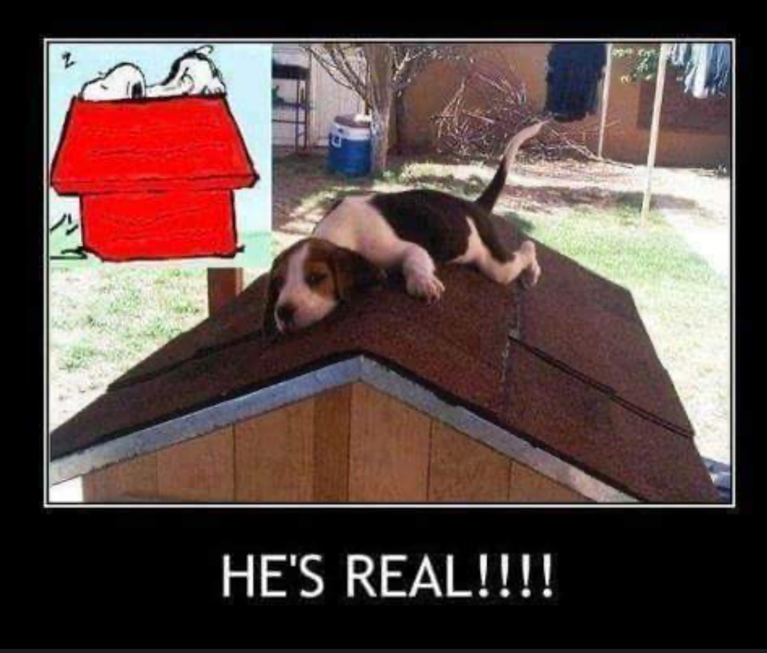Omg - meme