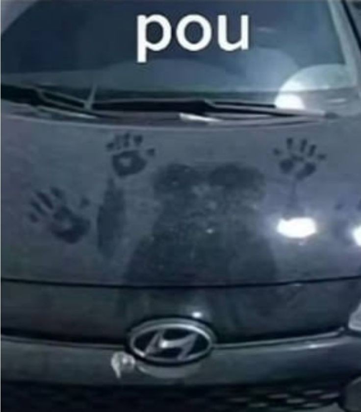 Pou - meme